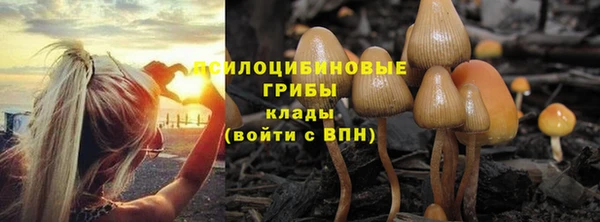 альфа пвп Ельня