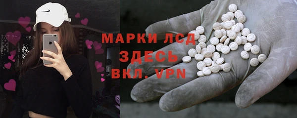 СК Елизово