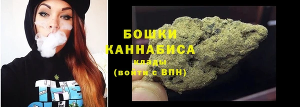 PSILOCYBIN Дмитриев