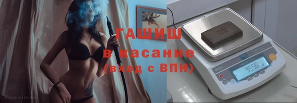 СК Елизово