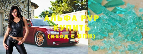 СК Елизово